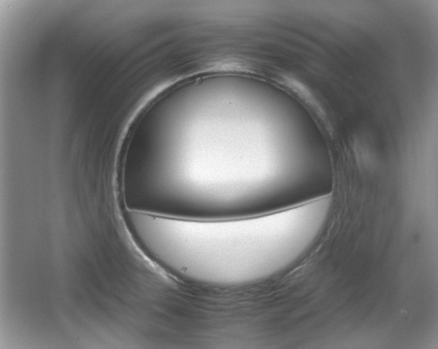 X0000067911331200604131058
