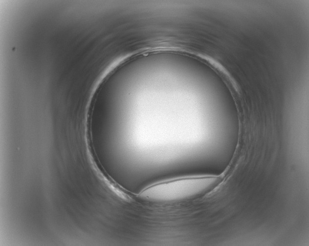 X0000067911333200604131059