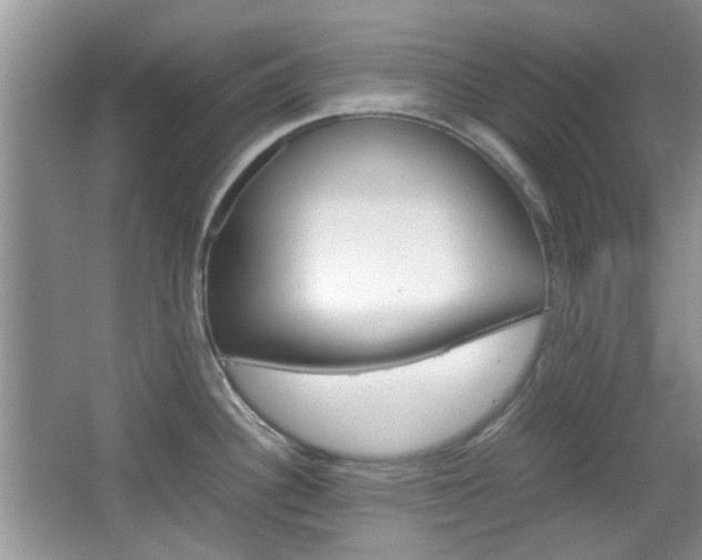 X0000067911340200604131059