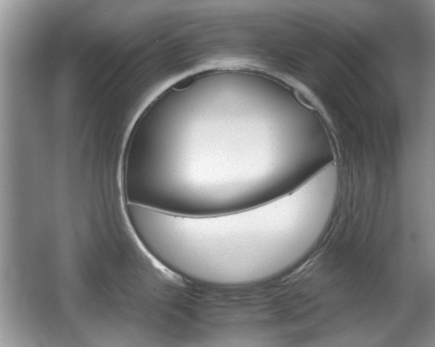 X0000067911343200604131059