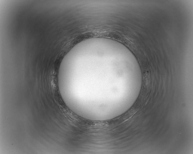X0000067911346200604131058