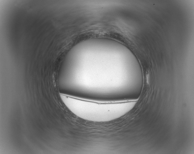 X0000067911347200604131058