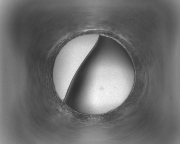 X0000067911351200604131058