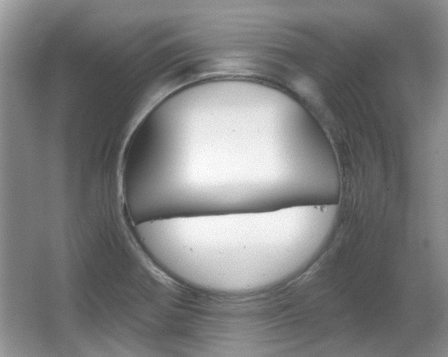 X0000067911370200604131057