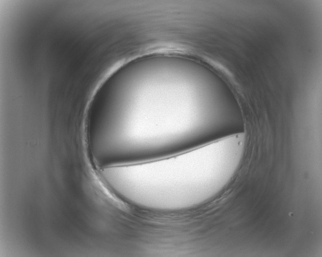 X0000067911375200604131057