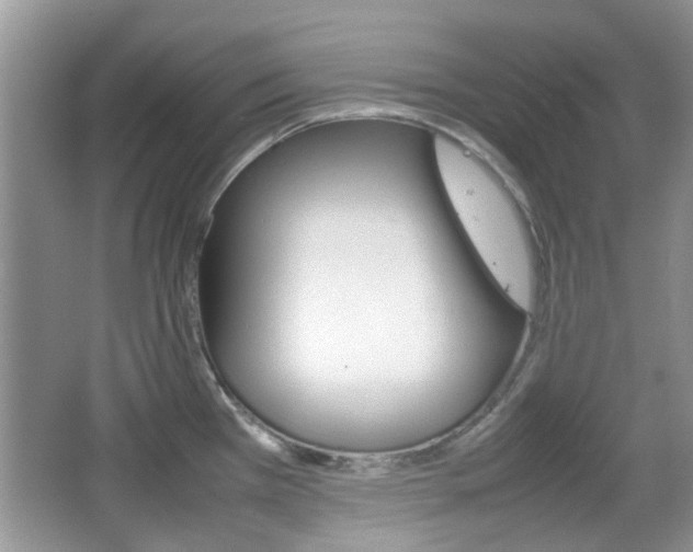 X0000067911385200604131057
