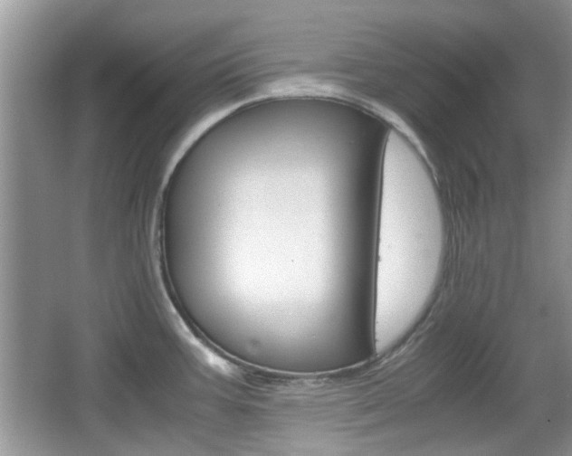 X0000067911387200604131057