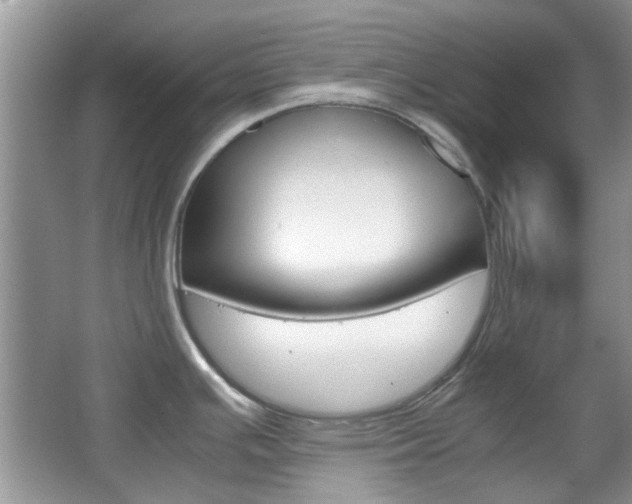 X0000067911391200604131057