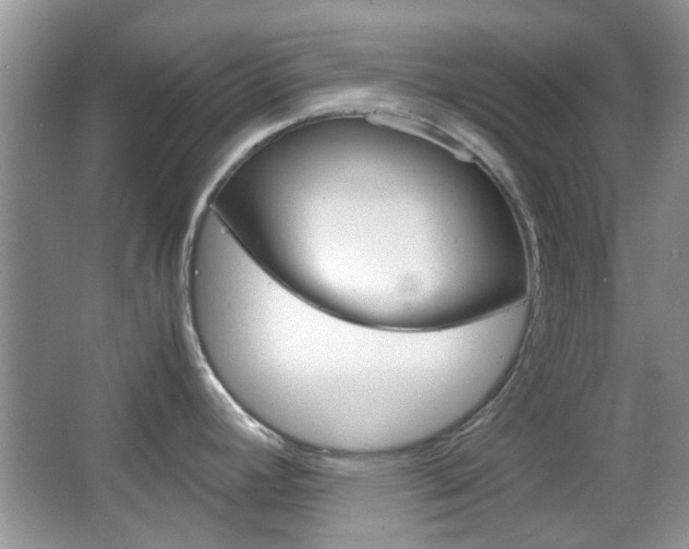 X0000067911392200604131057