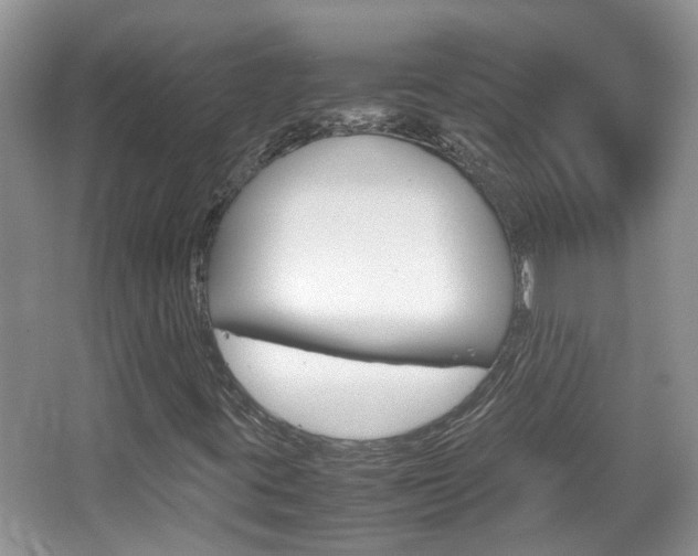 X0000067911395200604131056