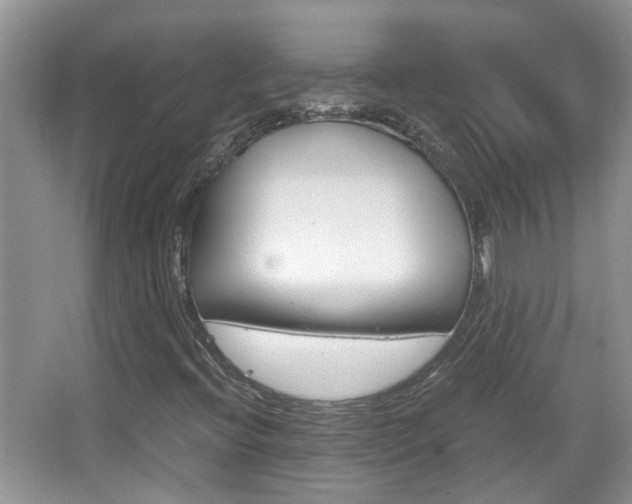 X0000067911396200604131056