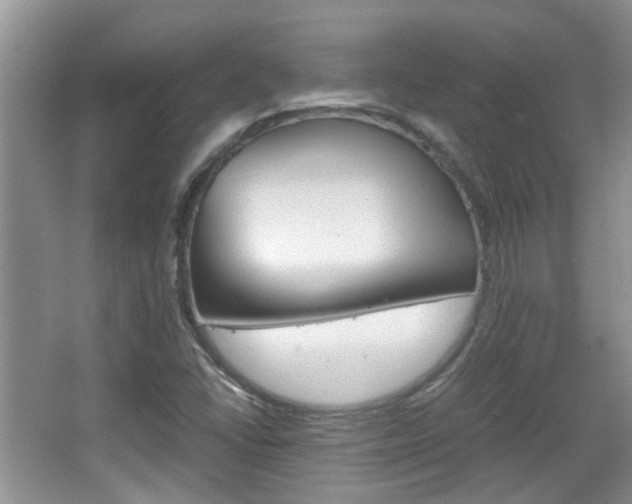 X0000067911406200604131057