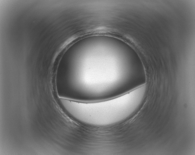 X0000067911410200604131057