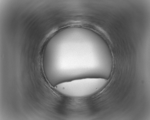 X0000067911411200604131057