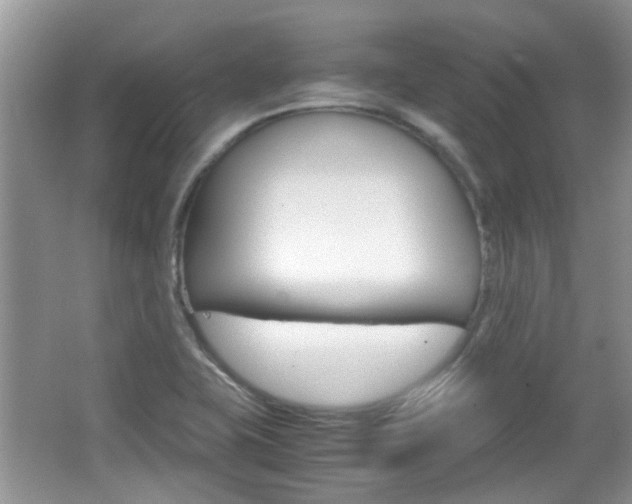 X0000067911415200604131057