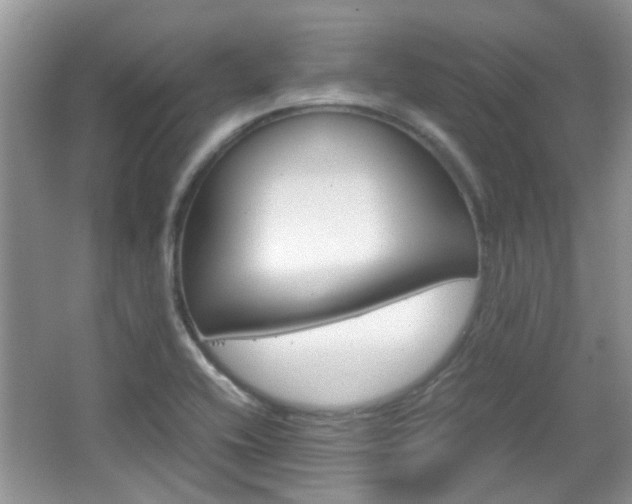 X0000067911416200604131057