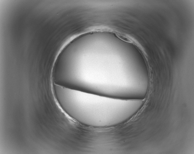 X0000067911440200604131057