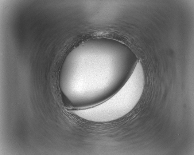 X0000067911441200604131056