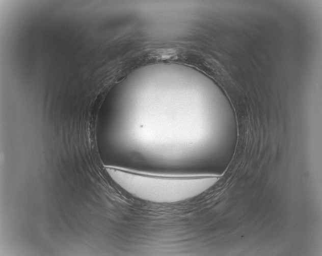 X0000067911442200604131056