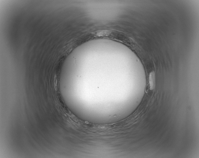 X0000067911443200604131056