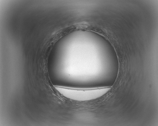 X0000067911445200604131056