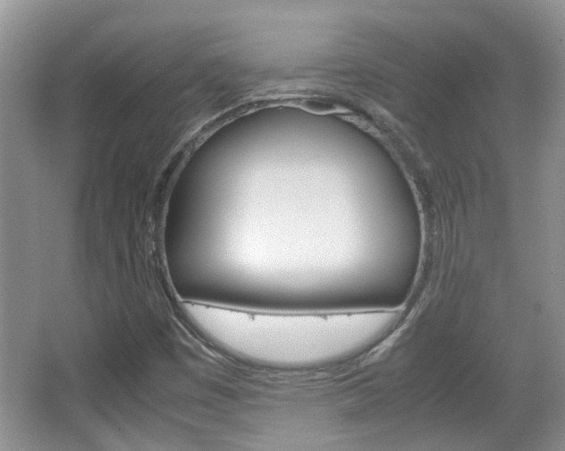 X0000067911449200604131056