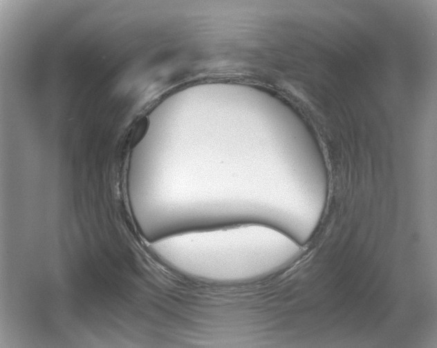 X0000067911451200604131056