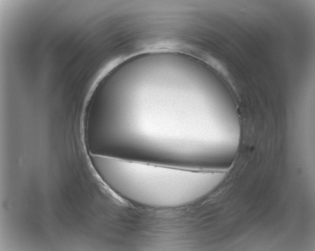 X0000067911480200604131056