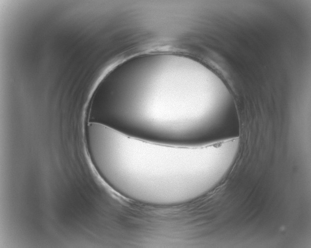 X0000067911483200604131056