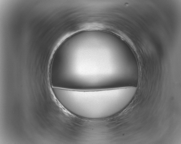 X0000067911488200604131055