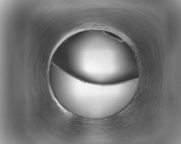 X0000067911536200604131055