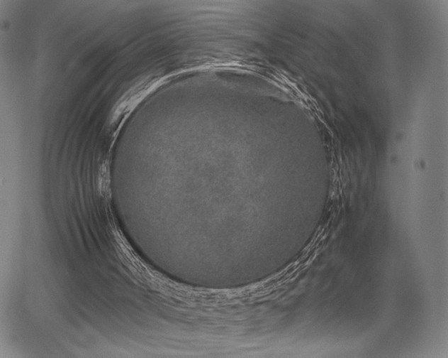 X0000067910002200604131355