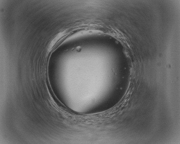 X0000067910003200604131355