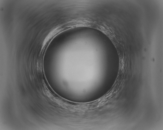 X0000067910004200604131355