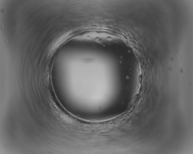 X0000067910005200604131355