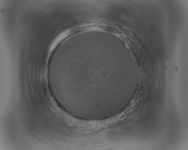 X0000067910006200604131355