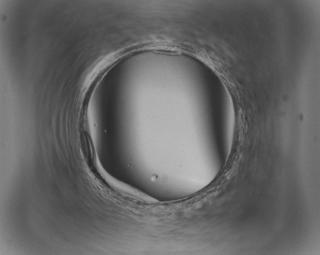 X0000067910007200604131355