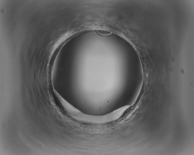 X0000067910008200604131355