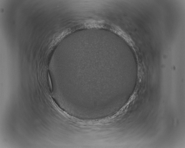 X0000067910009200604131355