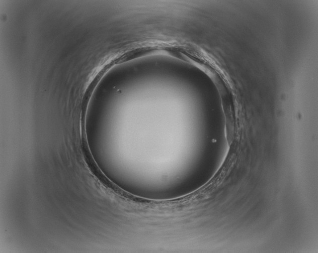 X0000067910011200604131355