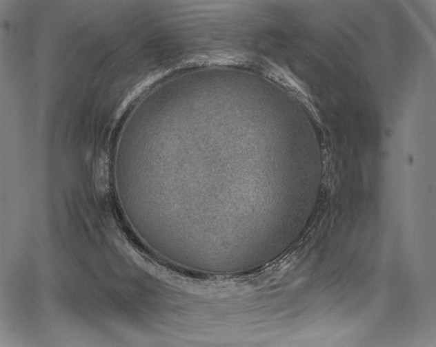 X0000067910012200604131355