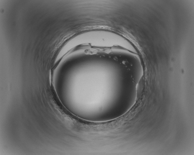 X0000067910013200604131355