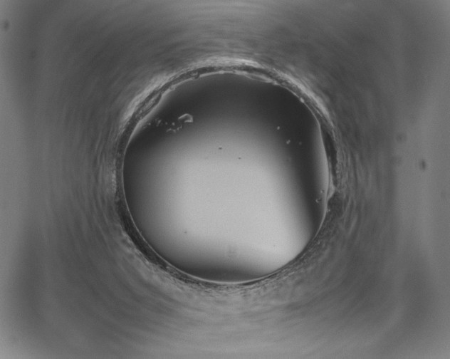 X0000067910015200604131355