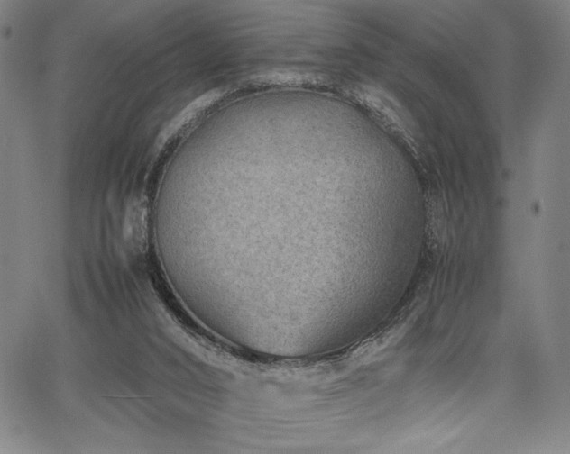 X0000067910016200604131355