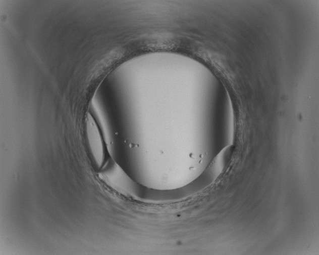 X0000067910017200604131355