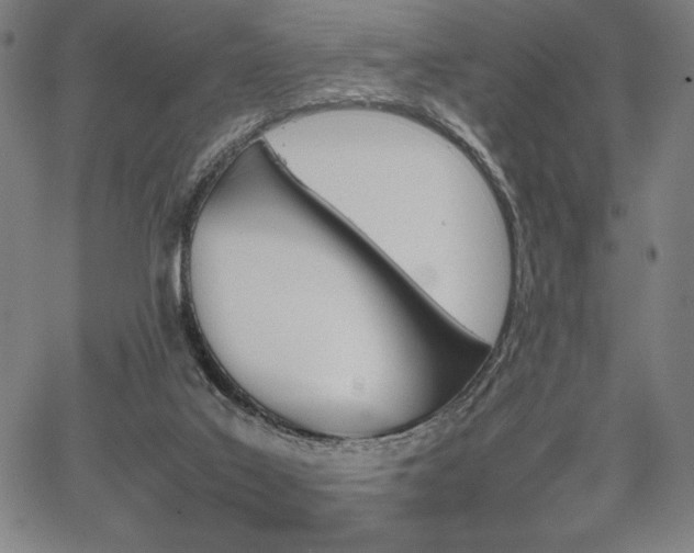 X0000067910019200604131355