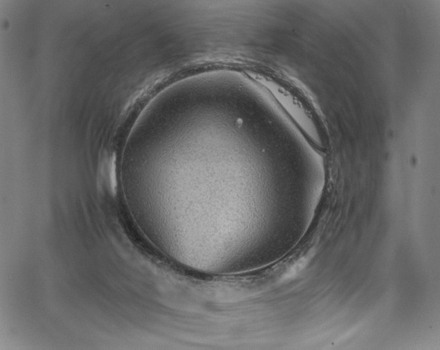 X0000067910020200604131355