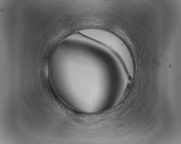 X0000067910021200604131355