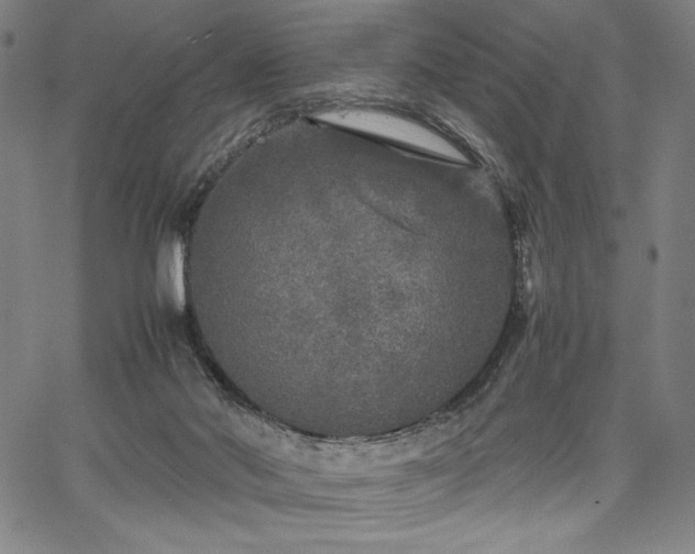 X0000067910022200604131355