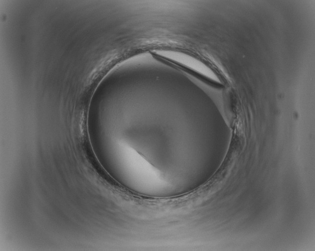 X0000067910023200604131355